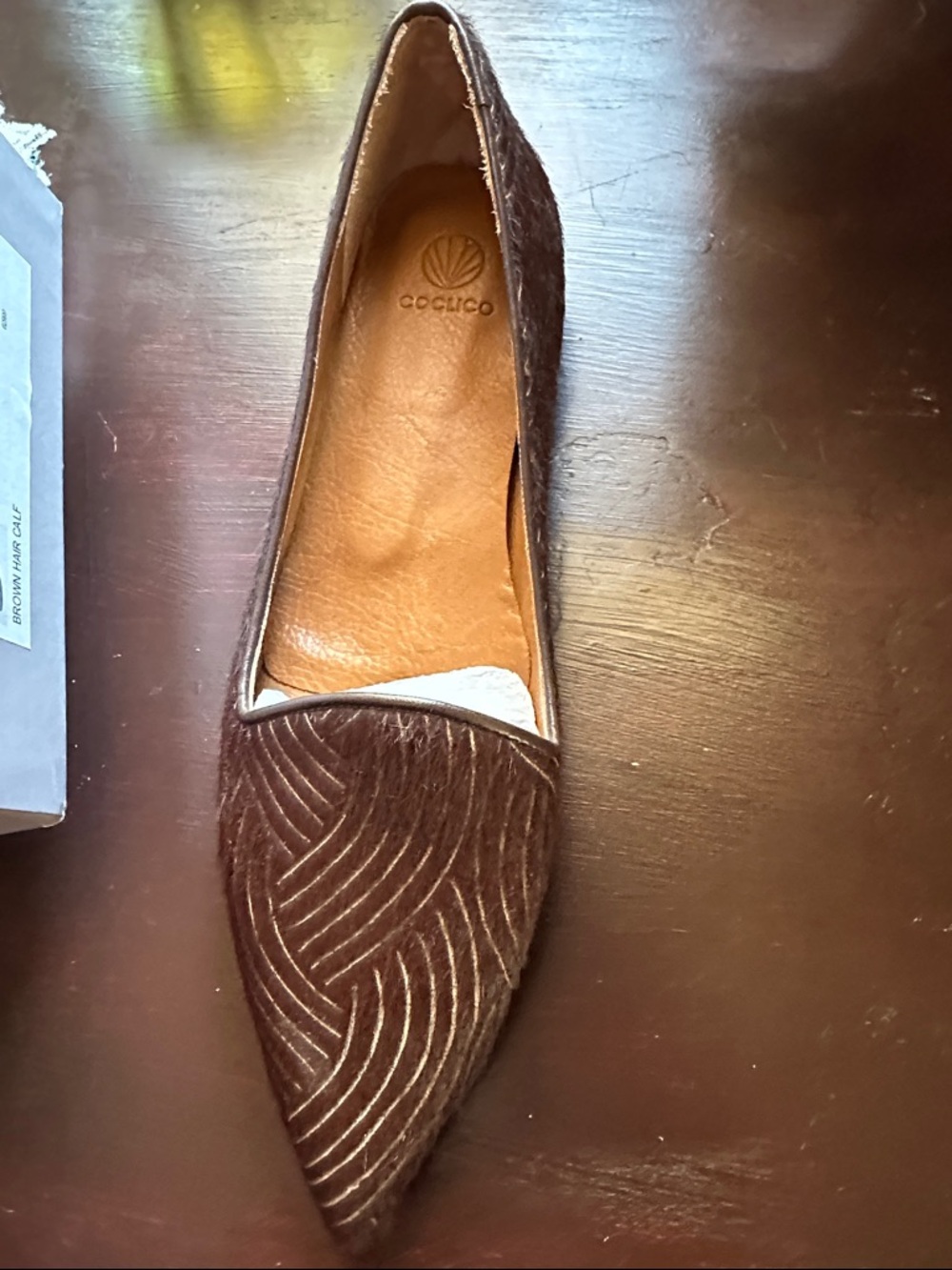 COCLICO Brown Pointed Haircalf Flat with Textured Vamp